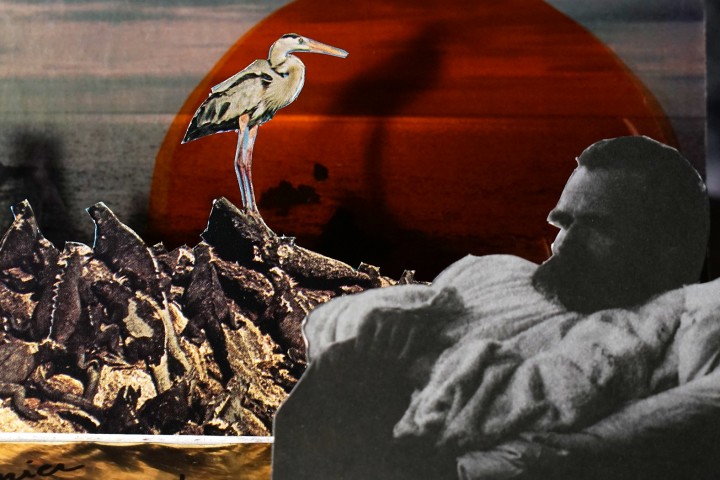 nietzsche-cesar-valentine-1