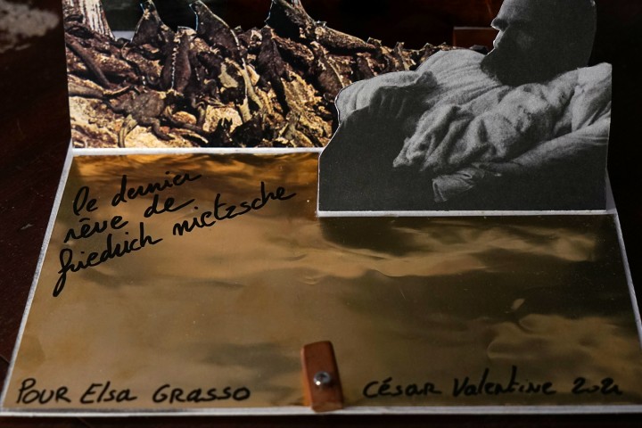 nietzsche-cesar-valentine-4