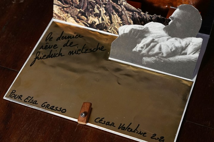 nietzsche-cesar-valentine-7