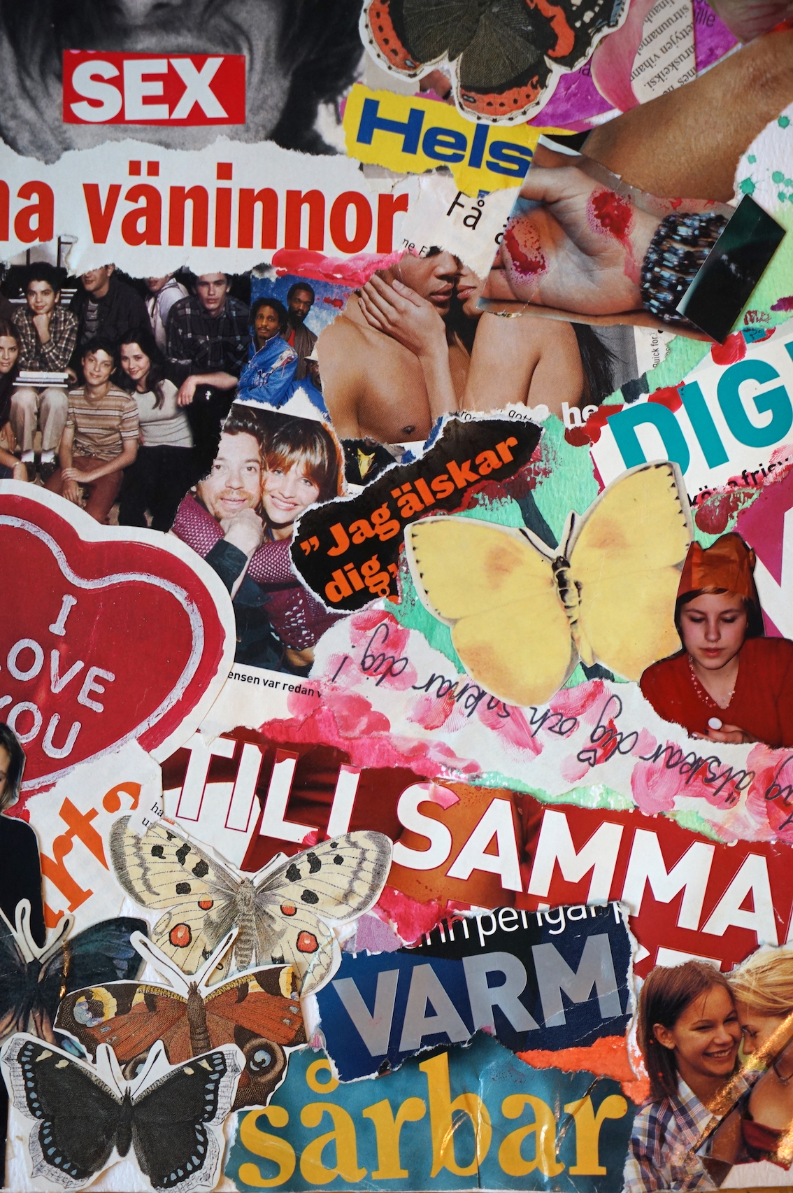 collage-2