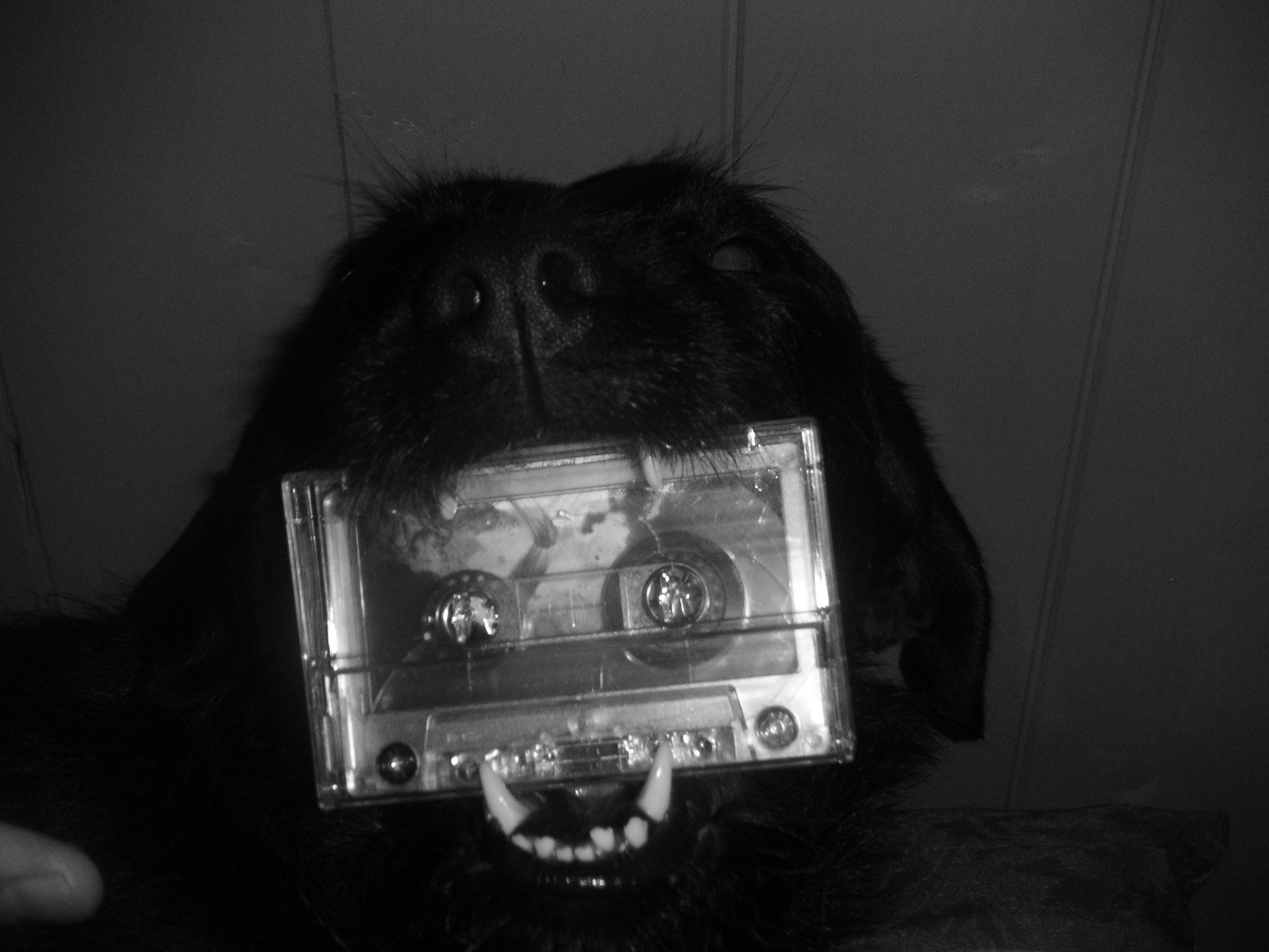 pict0012 pict0012