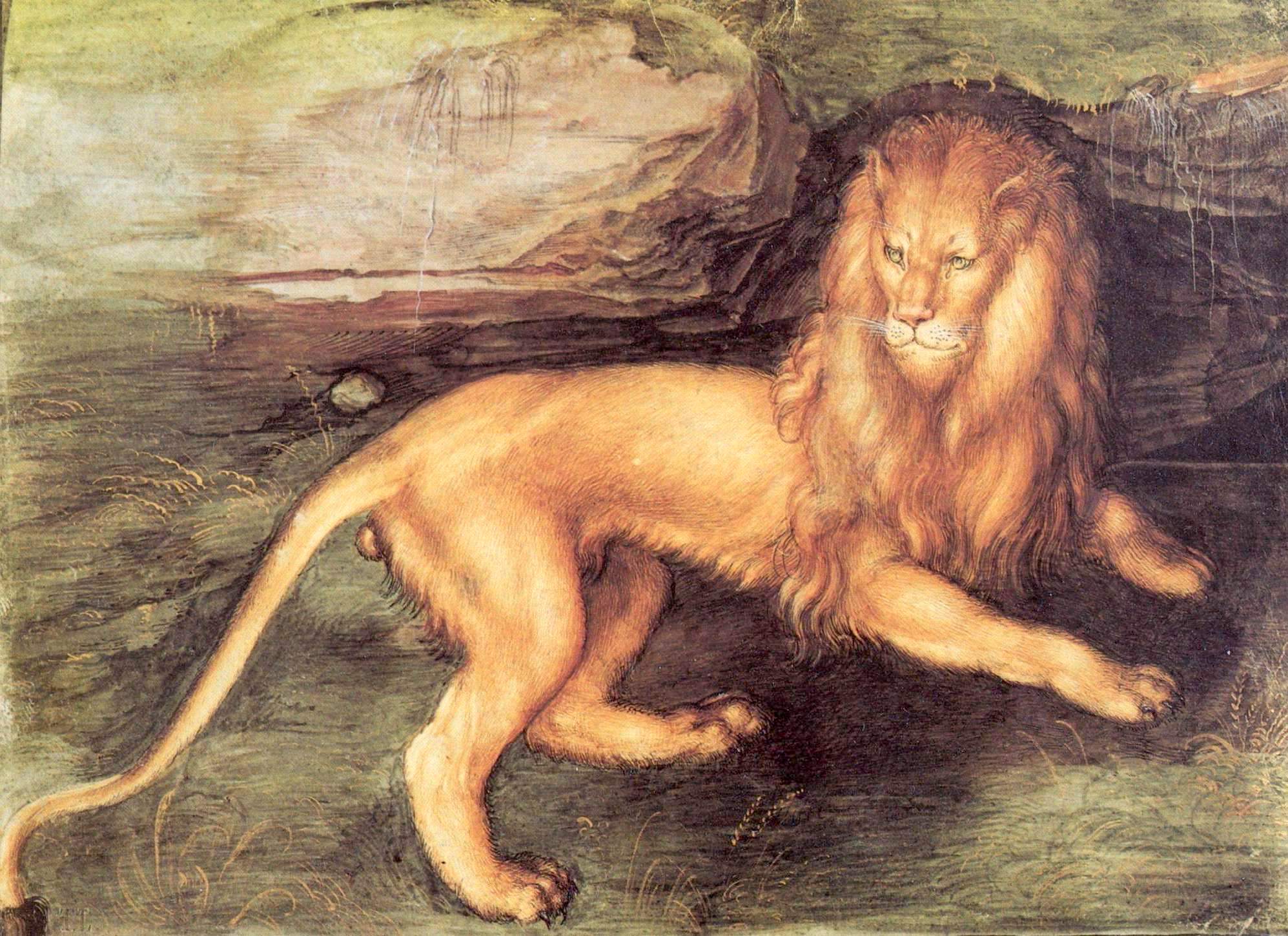 albrechtdurer-lion albrechtdurer-lion